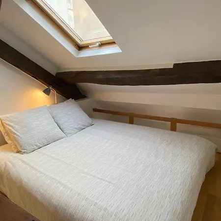 Marais With Mezzanine *