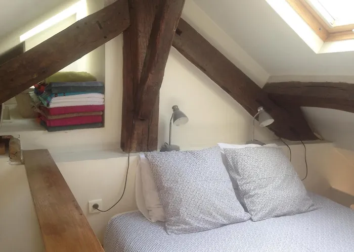 Marais With Mezzanine Appartement