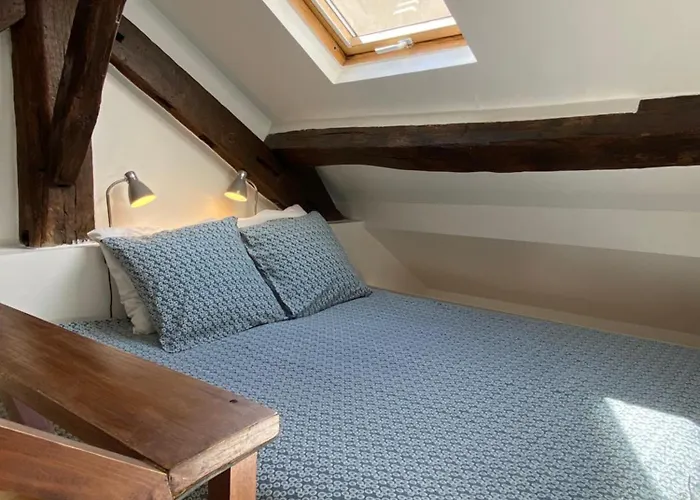 Marais With Mezzanine * Parijs
